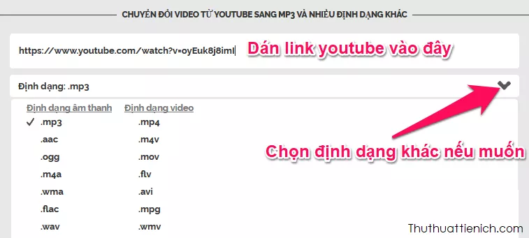 Dán link YouTube và chọn định dạng MP3 để chuyển đổi