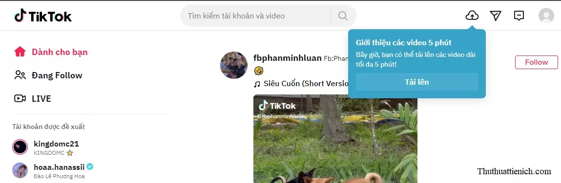 Giao diện TikTok sau khi đăng ký thành công